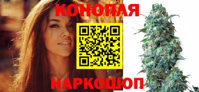 круглые Лесосибирск
