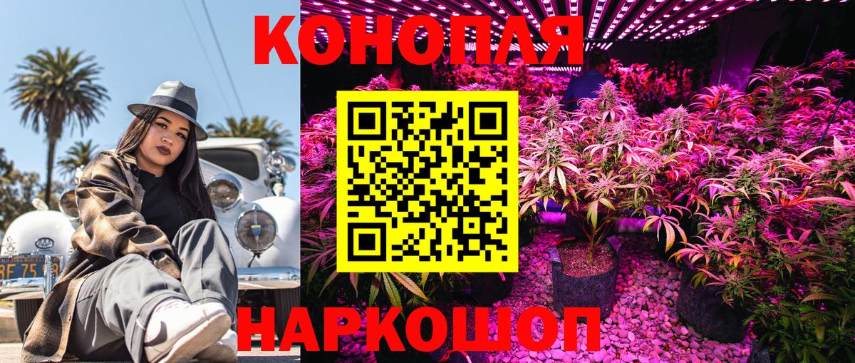Конопля семена Домодедово
